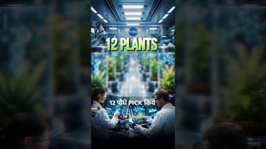 NASA अंतरिक्ष में उगाएगा ये दो पौधे 🔥🔥Sea Buckthorn #sonusharma #podcastclips #seabuckthorn