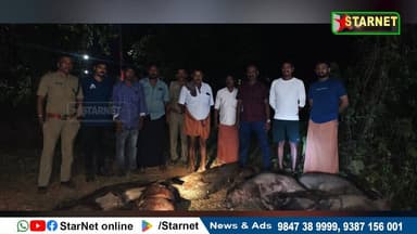 വടക്കഞ്ചേരി ഗ്രാമപഞ്ചായത്തിലെ മംഗലം പ്രദേശത്തു നിന്നും 13 കാട്ടുപന്നികളെ വെടിവെച്ച് കൊന്നു
വാട്സ്ആപ്പ് ഗ്രൂപ്പില് അംഗ...