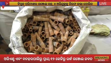 ବ୍ରଜରାଜନଗର ପୁଲିସକୁ ବଡ ସଫଳତା; ୧୨ କେଜି ଗଞ୍ଜେଇ ଜବତ,୪ ଗିରଫ
#ganja_seized_in_brajrajnagar #brjnlive #brajrajnagarpolice #Jh...