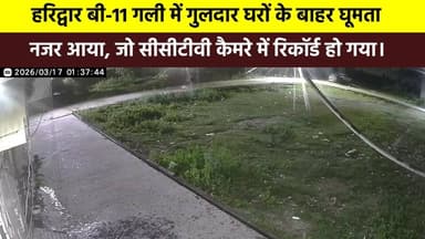 #हरिद्वार बी-11 गली में गुलदार घरों के बाहर घूमता नजर आया, जो सीसीटीवी कैमरे में रिकॉर्ड हो गया।
#पूरा मामला जानने के ल...