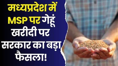 मध्यप्रदेश में MSP पर गेहूं खरीदी की नई तिथियाँ, सरकार का बड़ा फैसला #WheatMSP #FarmerRelief #MPAgriculture #RabiSeaso...