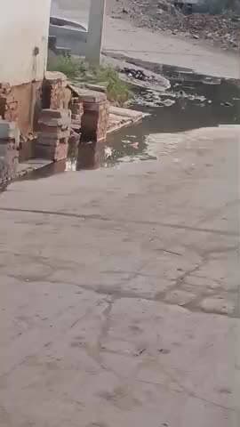 gram Supa se Deepak kushwaha @gmail.com