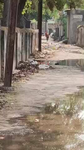 rest house ke piche ward no.9 joura #vi