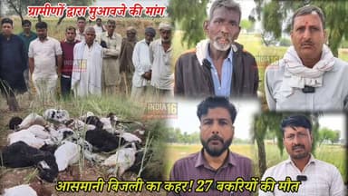 आसमानी बिजली का कहर! 27 बकरियों की मौ*त, मुआवजे की मांग Mahendergarh News #bakrinews #skylight #breakingnews #indianews1...