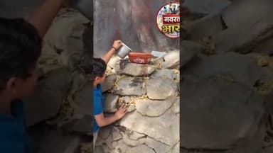 #पक्षियों के लिए परिंडों में पानी भरा#