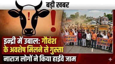 इंद्री में पहले 7 फिर 5 गौवंश के अवशेष मिलने से उबाल, हाईवे जाम कर लोगों ने जताया रोष
#Indri #HaryanaNews #BreakingNews ...