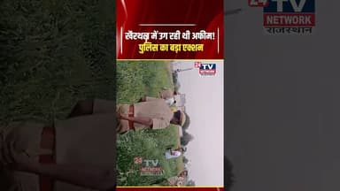 खैरथल में अफीम की खेती का भंडाफोड़! 5050 पौधे बरामद #KhairthalNews #shorts