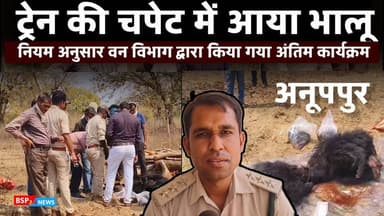 बिजुरी - ट्रेन की चपेट में आने से नर भालू की मौत, वन विभाग ने किया अंतिम संस्कार । Anuppur bsp24news
#anuppur
#bsp24news