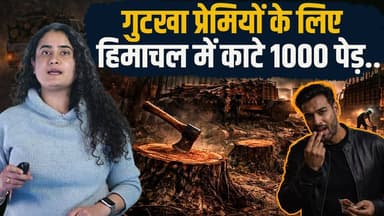 डिप्टी सीएम के गृह जिले में 'माफिया' राज
1000 पेड़ काट डाले, वन विभाग को भनक न लगी
#himachalpradesh #MukeshAgnihotri #hp...