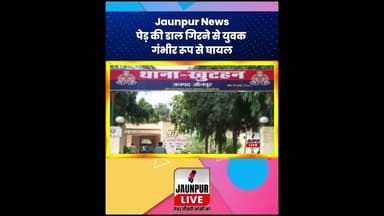 Jaunpur News: पेड़ की डाल गिरने से युवक गंभीर रूप से घायल #ShortsFeed #Viral #Jaunpur #JaunpurLive