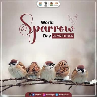 The cheerful chirping of sparrows is a sound we must never lose.
This #WorldSparrowDay, let’s act together to conserve and coexist with nature.
@moefcc @railminindia