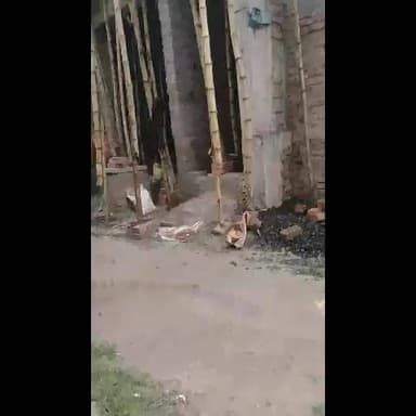 koluha me jordar barish gali me Pani Pani