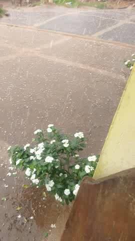 हमारे गांव में हुई लेकर चुके हैं ग्राम अगर पोस्ट महरौली जिला का उत्तर प्रदेश जखौरा ब्लाक