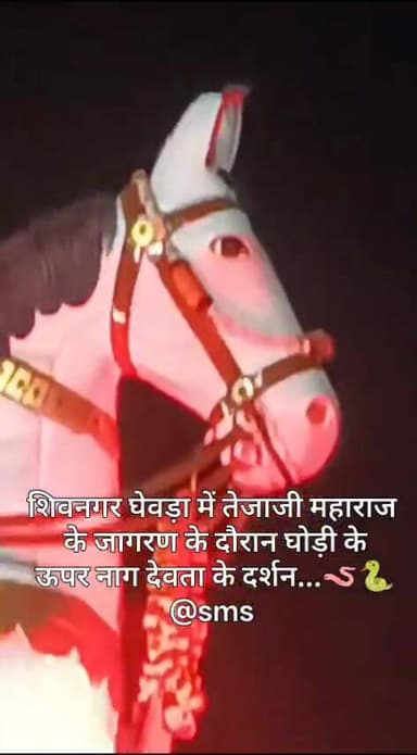 शिवनगर घेवड़ा में तेजाजी महाराज के जागरण के दौरान घोड़ी के ऊपर नाग देवता के दर्शन...🪱🐍
#तेजाजी #मंदिर #जागरण #लीलण