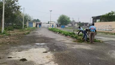 आगामी गेहूं व सरसों की खरीद को लेकर तिगांव मार्केट कमेटी ने किया सफाई कार्य शुरू!
#tigaon #marketcmeti #tigaon❤️👑