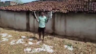 बड़ेराजपुर: बड़ेराजपुर क्षेत्र में ओला वृष्टि के साथ हुई बारिश, किसानों की फसलों को हुआ नुकसान, मुआवजे की मांग