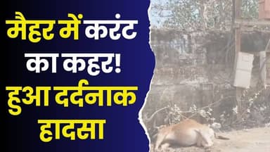 मैहर में करंट का कहर! कचहरी के सामने हुआ दर्दनाक हादसा
#Maihar #ElectricShock #ViralNews #BreakingNews #MadhyaPradesh #...