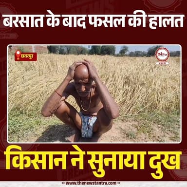 छतरपुर : बरसात के बाद फसल की हालत किसान ने सुनाया अपना दुख...
#news #thenewstantra #kishaan #MP #chhatrpur