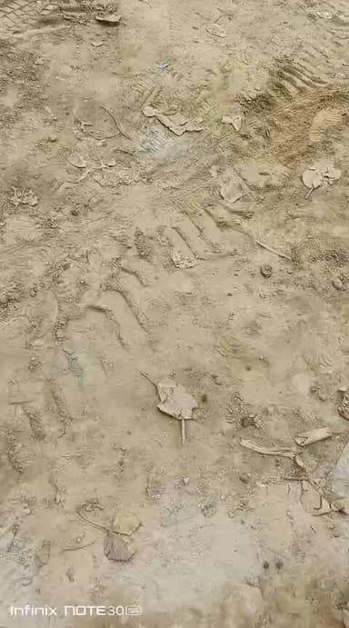 जिला मेरठ
तहसील सरधना
ग्राम पंचायत कलन्द वालों को ठेकेदार धमकी दे रहा हैं!