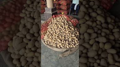 आज का आलू का भाव चकरपुर मंडी कानपुर से #aalukabhav #farming #agriculture