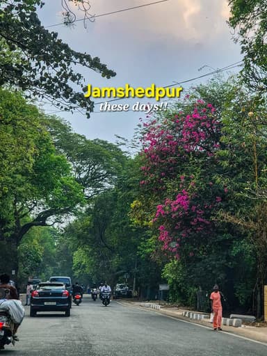Jamshedpur these days is love ❤️
#Jamshedpur #jharkhand #travel #nature #cherryblossom
