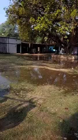 prathmic Vidyalaya Korra ka purva kamasin banda