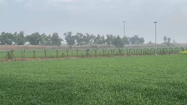 ਫਾਜ਼ਿਲਕਾ: ਸਰਹੱਦੀ ਇਲਾਕੇ ਵਿੱਚ ਫਾਇਰਿੰਗ, 6.5 ਕਿਲੋ ਹੈਰੋਇਨ ਬਰਾਮਦ