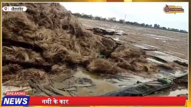 बेमौसम बारिश का कहर 😱 जीरा-ईसबगोल की फसल बर्बाद | किसानों को लाखों का नुकसान | Jaisalmer News
#jaisalmer #RajasthanNew...