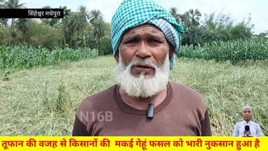 मधेपुरा में चक्रवार्ती तूफान की वजह से किसानों की खड़ी फसल को भारी नुकसान हुआ है।#Bihar #NewsUpdate #BiharNews #latestn...
