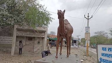 कचरे से तराशी गई कलाकृतियां, चुंगी चौकी पर बनीं आकर्षण का केंद्र #live #viral #didwanajila #bharat