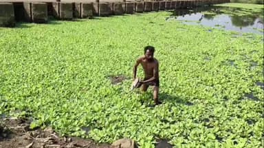 करवीर: पंचगंगा प्रदूषणाच्या पार्श्वभूमीवर प्रदूषण नियंत्रण मंडळाच्या कोल्हापूर व इचलकरंजी महापालिकेसह औद्योगिक वसाहतींना नोटिसा