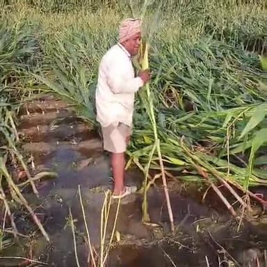 सरकार से ही मांग करते हैं कि हम लोग को मुआवजा दी जाए