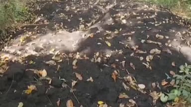 बस्ती: जिला पर्यावरण समिति के सदस्य सुधीर पटेल ने जिलाधिकारी को वन विहार में मिल की राख गिराए जाने के मामले में लिखा पत्र