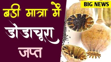 बड़ी मात्रा में डोडाचूरा जप्त | badi matra me dodachura japt #bhadesr_thana_police #dodachura #rjsthn
