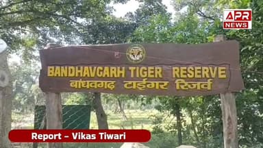 बांधवगढ़ में खतरे में वन्यजीव! कुएं में मिला नर तेंदुए का शव | जांच में जुटा पार्क अमला
7#Bandhavgarh #Umaria #LeopardDe...