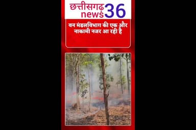 जंगल में आग लगने से कीमती पेड़ पौधे जलकर हुई खाक आग लगने पर भी मौके पर नहीं फायर ब्रिगेड और नहीं विभाग से कोई मौजूद