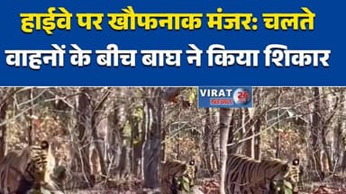 उमरिया में सड़क किनारे बाघ का शिकार LIVE: वन विभाग अलर्ट मोड पर #Umaria
#Bandhavgarh
#TigerAttack
#Wildlife
#BreakingNew...