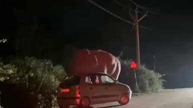 കണയന്നൂർ: കാട്ടാന വഴി വന്ന കാറിനെ ആക്രമിക്കുന്നു. തലനാരിഴയ്ക്ക് രക്ഷപ്പെടുന്നു