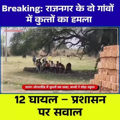 राजनगर में ‘पागल कुत्तों’ का आतंक! 24 घंटे में 12 लोग घायल, डर से स्कूल तक बंद
⸻
#RajNagar #Saraikela #JharkhandNews #...