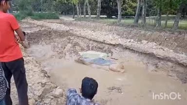 सिकंदराराऊ: गंगागढ़ी में खनन माफियाओं द्वारा किए गए गड्ढे की दलदल में फंसी कई नीलगाय, ग्रामीणों ने पुलिस के सहयोग से किया रेस्क्यू