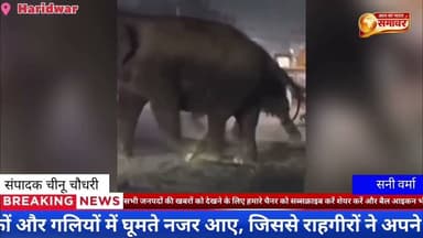 हरिद्वार। कनखल थाना क्षेत्र के जगजीतपुर इलाके में सोमवार देर रात #वनविभाग #उत्तराखंड #cmउत्तराखंड