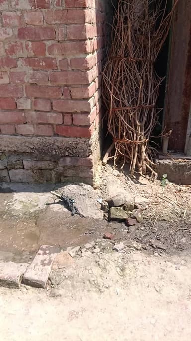 gram dhankaul Panchayati