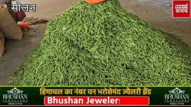 मटर के रेट में तेजी, जाने किस भाव बिका 25 मार्च 2026 को
हिमाचल समय - Himachal Samay Media #vikrmadityesingh #educational...