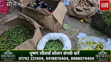 25 मार्च 2026 को हिमाचल की सोलन सब्जी मंडी में भाव
हिमाचल समय - Himachal Samay Media #solansubjimandi #lpghessrate #heav...