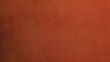 महावर जी केटर्स विदिशा