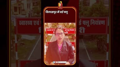 बिलासपुर में बर्ड फ्लू H5N1 का हमला! इन्फेक्टेड जोन सील #Bilaspur #BirdFlu #H5N1