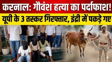 करनाल पुलिस की बड़ी कार्रवाई, इंद्री में गौवंश हत्या और मांस तस्करी का पर्दाफाश, यूपी से 3 आरोपी गिरफ्तार
#KarnalPolice ...