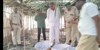 కోడూరు: తాబేలు పిల్లలను సముద్రంలోకి వదిలిన ఎమ్మెల్యే