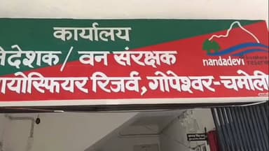 थराली: थराली के बूंगा गांव में भालू के हमले में युवती गंभीर रूप से घायल, हेली एंबुलेंस से एम्स भेजा गया
