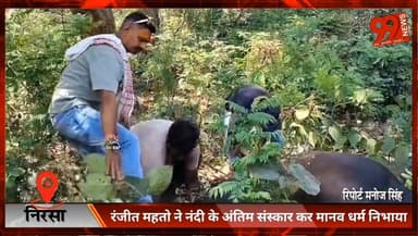 निरसा : रंजीत महतो ने नंदी के अंतिम संस्कार कर मानव धर्म निभाया
#Nirsa #Dhanbad #Humanity #SocialWork #RanjitMahato #Jha...